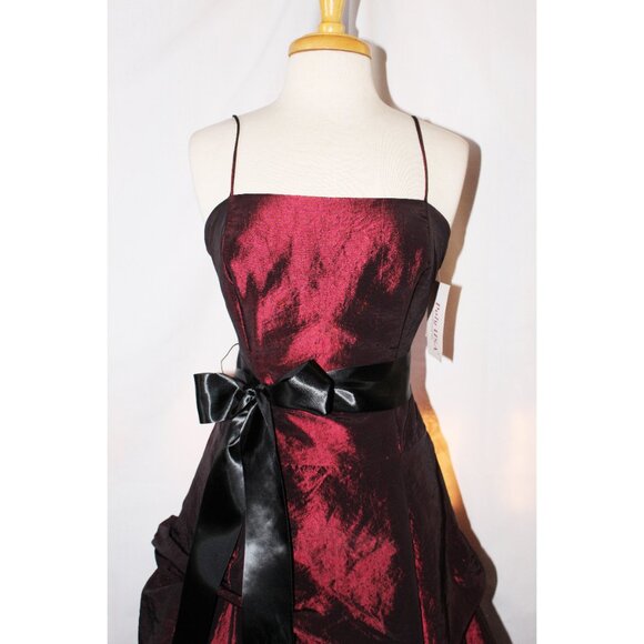 Poly USA Floor Length Crushed Taffeta Prom or Ball Gown-Size L-BURGUNDY-NWT - Picture 4 of 5